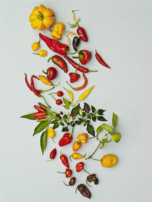 Chili01