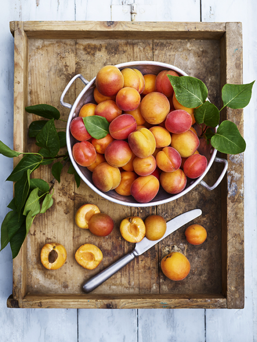 Apricot07